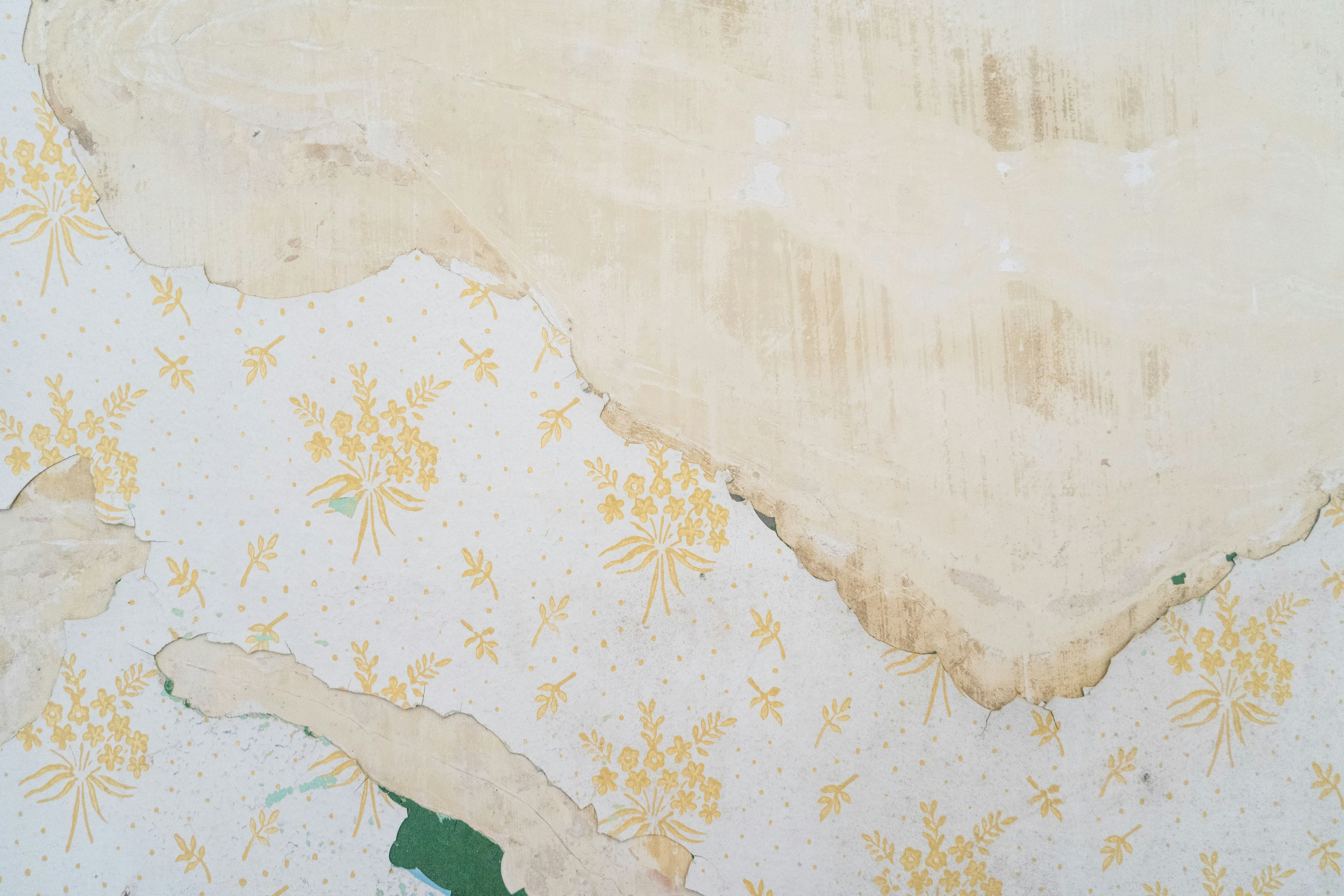 Wallpaper Removal